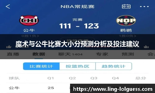魔术与公牛比赛大小分预测分析及投注建议